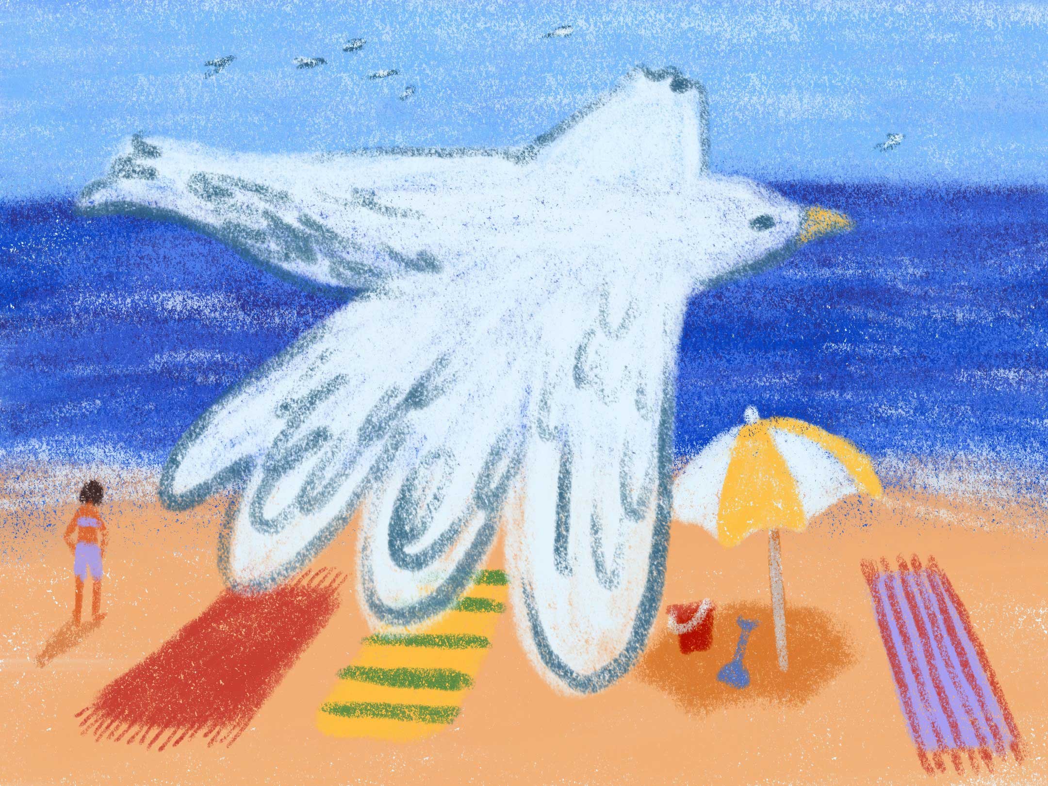 encontros festival de cinema