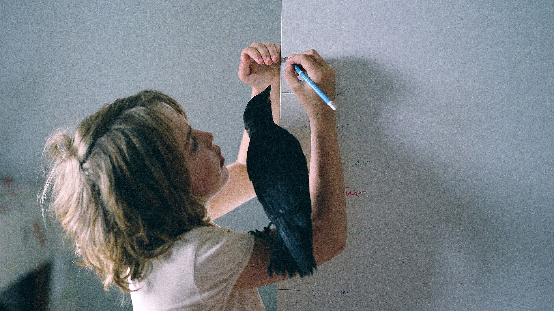 Kauwboy – O rapaz e o pássaro